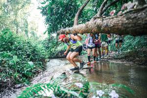 BIB: 
                            <button type="button" onclick="openModal(25462426)" class="btn btn-primary btn-sm float-right btn-popup" data-toggle="modal" data-target=".modal-high-quality">
                        <i class="fas fa-shopping-cart"></i> Add to Cart
                    </button>
                                            <button type="button" onclick="isThisMe(25462426, true)" class="btn btn-success btn-sm float-right btn-popup btn-isme hidden" data-toggle="tooltip" data-placement="bottom" title="นี่คือรูปของคุณใช่ไหม คลิกที่นี่เพื่อเอาเข้าอัลบั้ม">
                        <i class="fas fa-plus"></i> Add to album
                    </button>
                    <button type="button" onclick="isThisMe(25462426, false)" class="btn btn-warning btn-sm float-right btn-popup btn-isnotme hidden">
                        <i class="fas fa-ban"></i> Remove from album
                    </button>